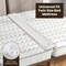 Costway 12" Extra Wide Bed Bridge Twin XL to King Converter Kit w/ Strap Gap Filler